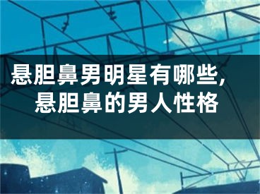 悬胆鼻男明星有哪些,悬胆鼻的男人性格