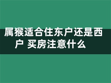 属猴适合住东户还是西户 买房注意什么