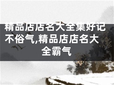 精品店店名大全集好记不俗气,精品店店名大全霸气