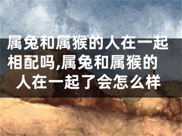 属兔和属猴的人在一起相配吗,属兔和属猴的人在一起了会怎么样