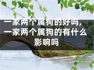 一家两个属狗的好吗,一家两个属狗的有什么影响吗