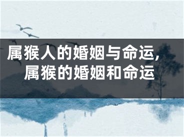 属猴人的婚姻与命运,属猴的婚姻和命运
