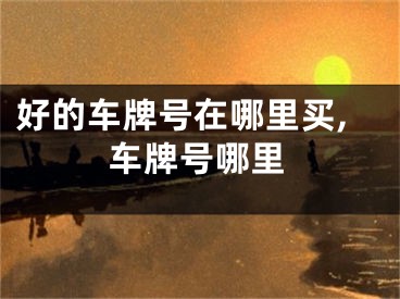好的车牌号在哪里买,车牌号哪里