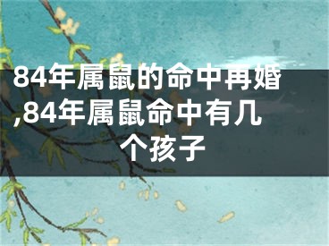 84年属鼠的命中再婚,84年属鼠命中有几个孩子
