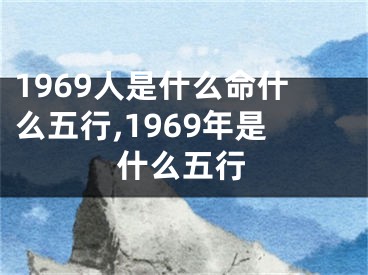 1969人是什么命什么五行,1969年是什么五行