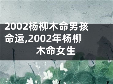 2002杨柳木命男孩命运,2002年杨柳木命女生