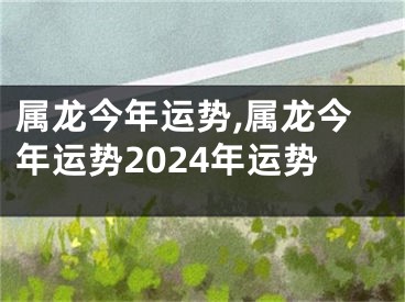属龙今年运势,属龙今年运势2024年运势