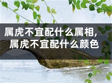 属虎不宜配什么属相,属虎不宜配什么颜色