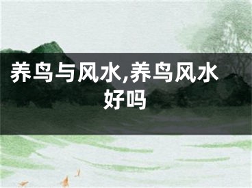 养鸟与风水,养鸟风水好吗