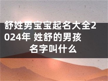 舒姓男宝宝起名大全2024年 姓舒的男孩名字叫什么