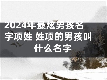2024年最炫男孩名字项姓 姓项的男孩叫什么名字