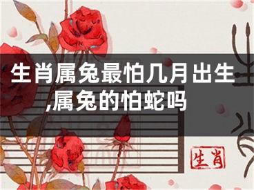 生肖属兔最怕几月出生,属兔的怕蛇吗