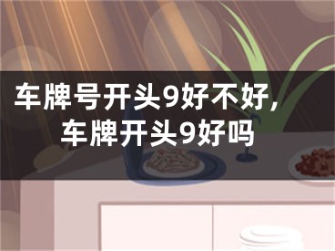 车牌号开头9好不好,车牌开头9好吗