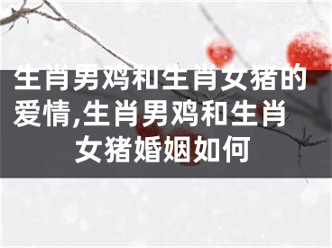 生肖男鸡和生肖女猪的爱情,生肖男鸡和生肖女猪婚姻如何