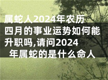 属蛇人2024年农历四月的事业运势如何能升职吗,请问2024年属蛇的是什么命人