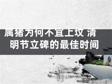 属猪为何不宜上坟 清明节立碑的最佳时间
