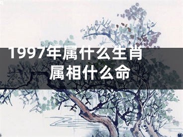 1997年属什么生肖属相什么命