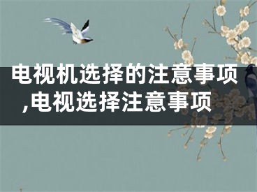 电视机选择的注意事项,电视选择注意事项