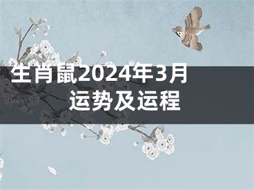 生肖鼠2024年3月运势及运程