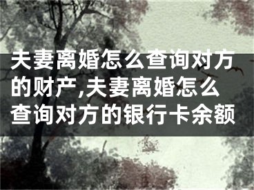 夫妻离婚怎么查询对方的财产,夫妻离婚怎么查询对方的银行卡余额