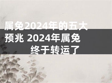 属兔2024年的五大预兆 2024年属兔终于转运了