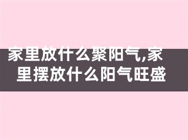 家里放什么聚阳气,家里摆放什么阳气旺盛