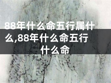 88年什么命五行属什么,88年什么命五行什么命