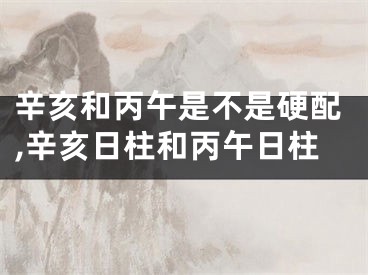 辛亥和丙午是不是硬配,辛亥日柱和丙午日柱