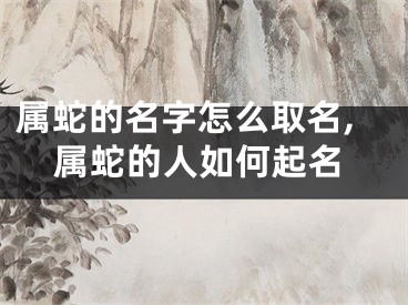 属蛇的名字怎么取名,属蛇的人如何起名