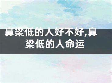 鼻梁低的人好不好,鼻梁低的人命运