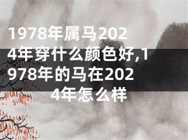 1978年属马2024年穿什么颜色好,1978年的马在2024年怎么样