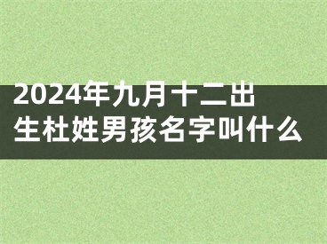 2024年九月十二出生杜姓男孩名字叫什么