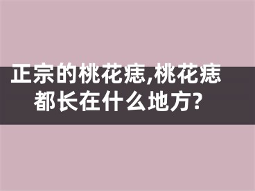 正宗的桃花痣,桃花痣都长在什么地方?