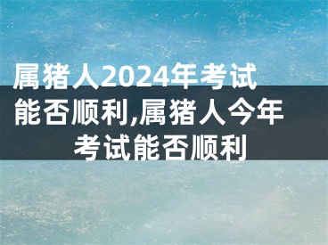 属猪人2024年考试能否顺利,属猪人今年考试能否顺利
