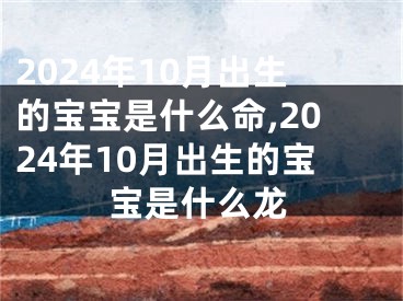2024年10月出生的宝宝是什么命,2024年10月出生的宝宝是什么龙