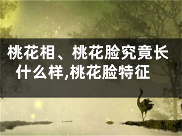 桃花相、桃花脸究竟长什么样,桃花脸特征