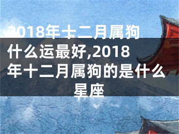 2018年十二月属狗什么运最好,2018年十二月属狗的是什么星座