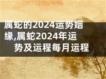 属蛇的2024运势姻缘,属蛇2024年运势及运程每月运程