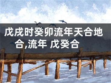 戊戌时癸卯流年天合地合,流年 戊癸合