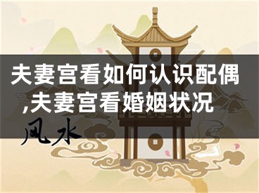 夫妻宫看如何认识配偶,夫妻宫看婚姻状况