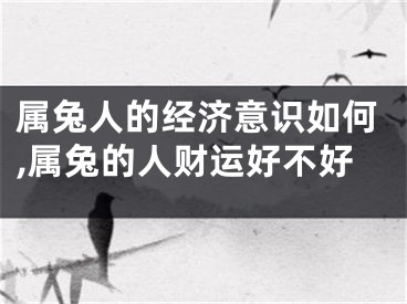 属兔人的经济意识如何,属兔的人财运好不好