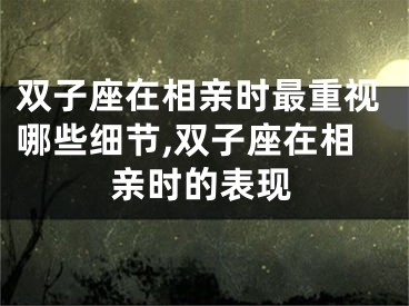 双子座在相亲时最重视哪些细节,双子座在相亲时的表现