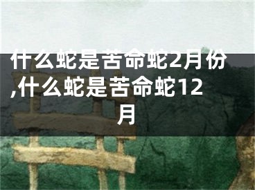 什么蛇是苦命蛇2月份,什么蛇是苦命蛇12月
