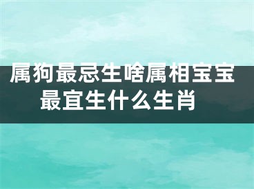 属狗最忌生啥属相宝宝 最宜生什么生肖