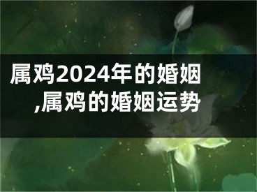 属鸡2024年的婚姻,属鸡的婚姻运势