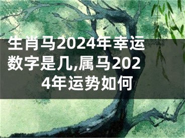 生肖马2024年幸运数字是几,属马2024年运势如何