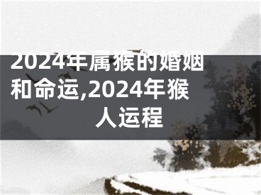 2024年属猴的婚姻和命运,2024年猴人运程
