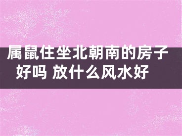 属鼠住坐北朝南的房子好吗 放什么风水好