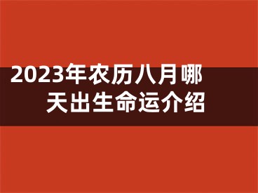 2023年农历八月哪天出生命运介绍
