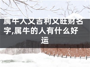 属牛人又吉利又旺财名字,属牛的人有什么好运